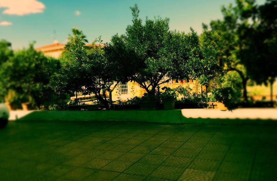 Villa Aurora Morena Ngoại thất bức ảnh